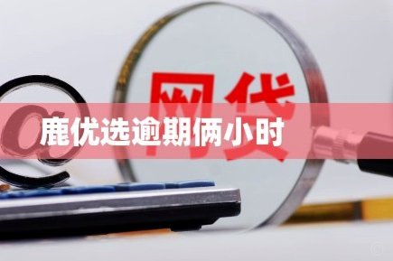 鹿优选借款全解析