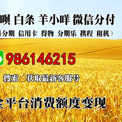 羊小咩取现额度提升有门道