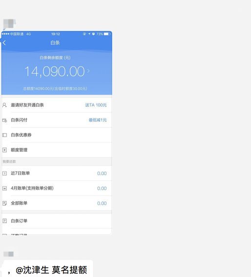 如何巧妙询问白条加油额度？