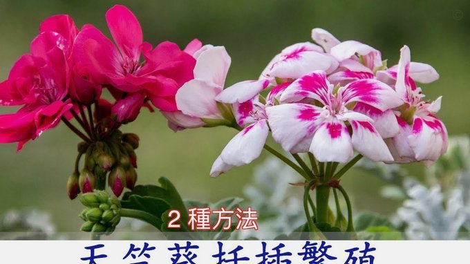 花呗给别人套现的风险有多大