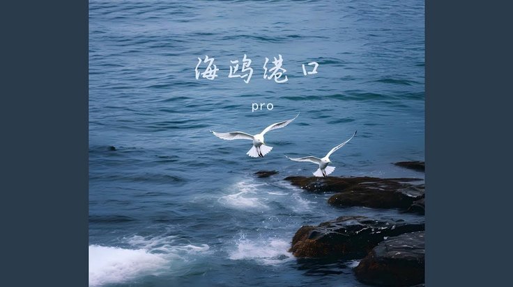 海鸥花呗平台客服电话