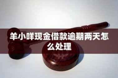 逾期一天的代价