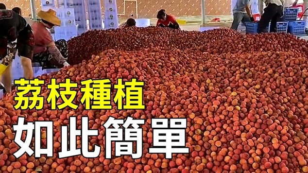 便荔卡额度怎么恢复？