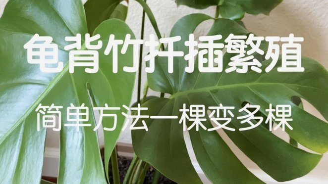 花呗套现手续费现金多少