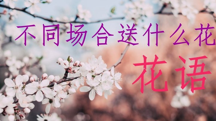 套现花呗是什么 出现的原因