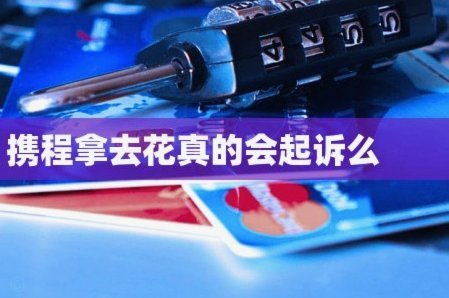 携程拿去花：旅游分期平台