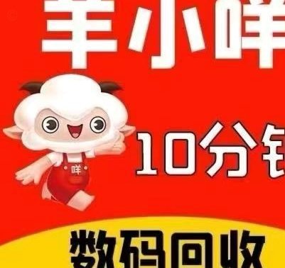 羊小咩如何有效协商二次分期
