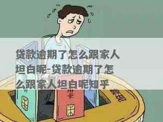 欠了2万多怎么办