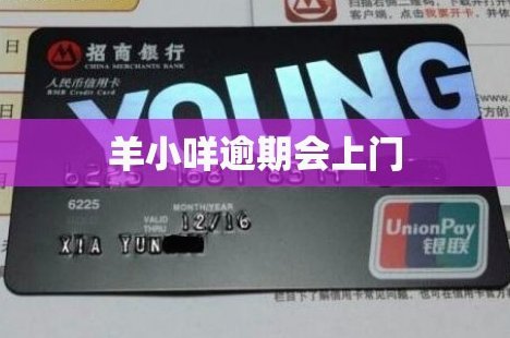 羊小咩分期怎么样
