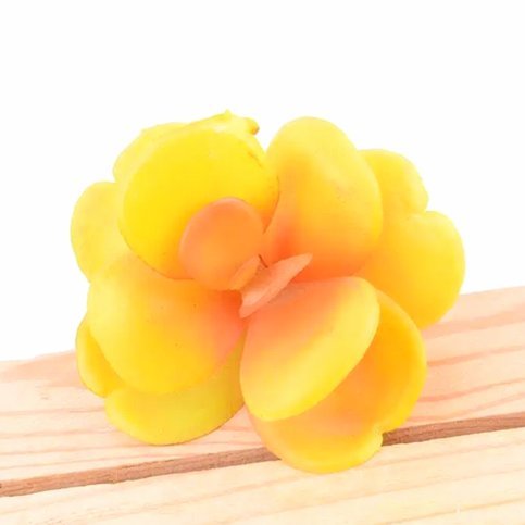 套花呗能干嘛