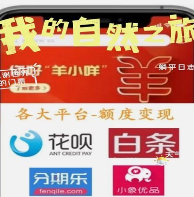 羊小咩额度回收指南