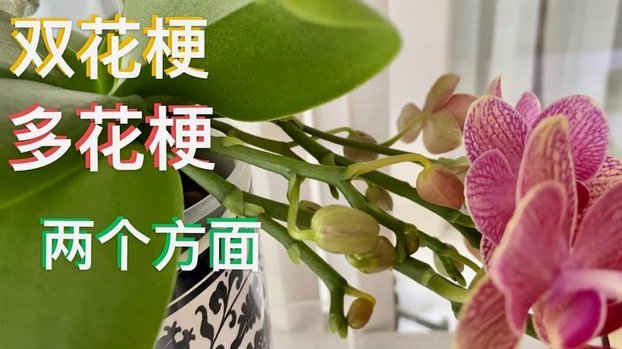 秒用花逾期不还款影响大吗
