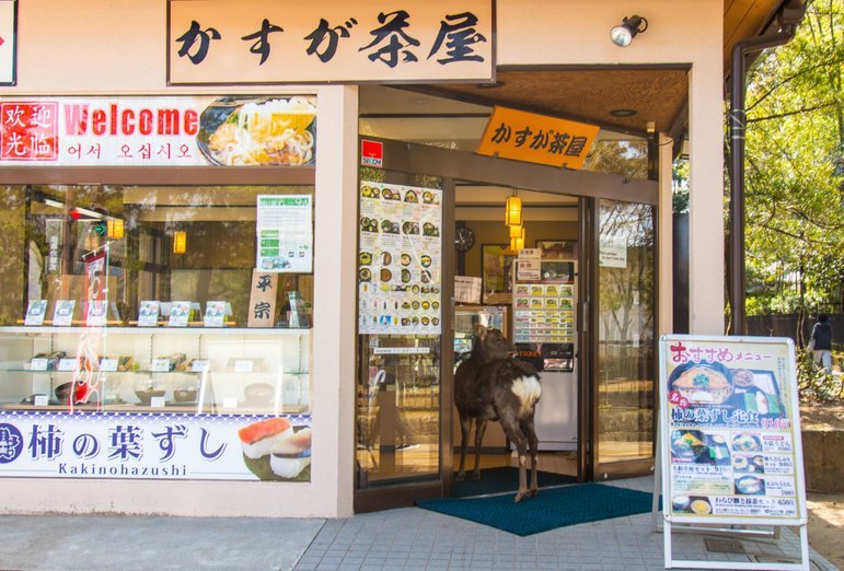 商家卷入金融陷阱