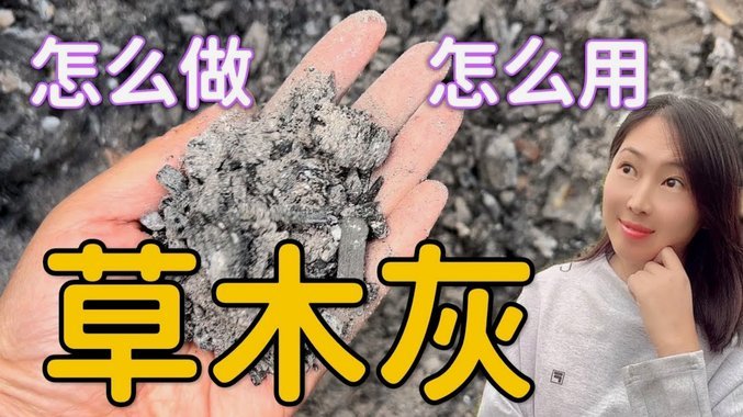 撬动资金杠杆：分期乐额度的精明使用