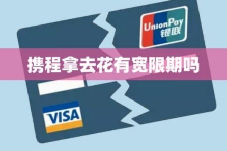 携程拿去花分期额度怎么用