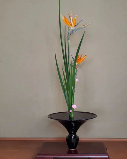 成都商家巧用花呗，生意更上一层楼