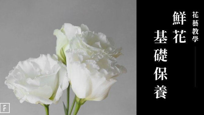 花呗如何安全合理使用