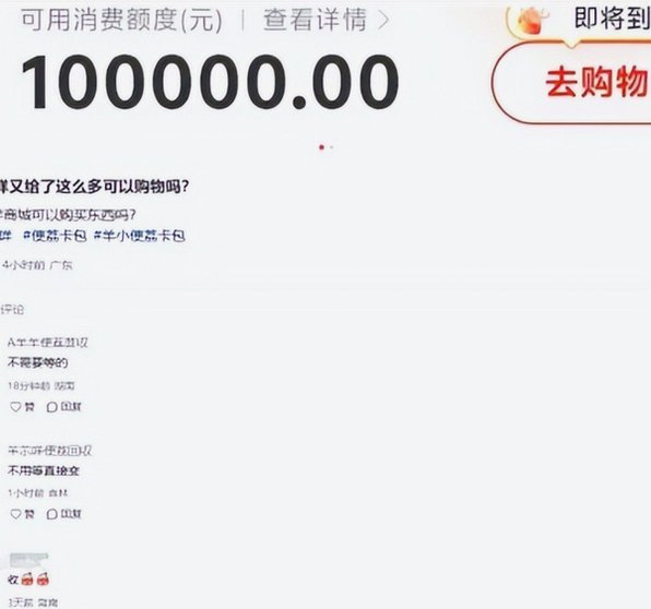 羊小咩平台