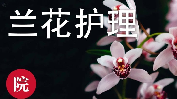 花呗商家提现手续费多少