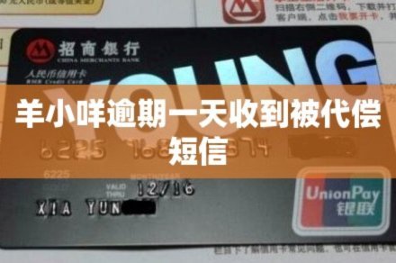 羊小咩套路