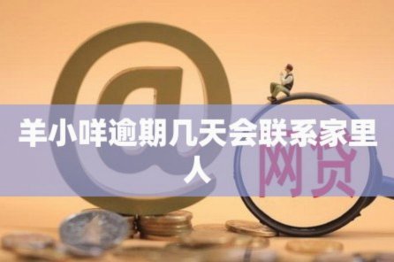 羊小咩套路