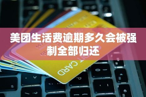 美团生活费套现攻略及风险分析