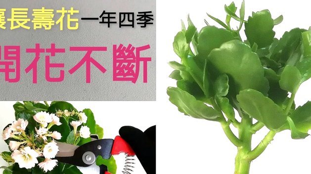 玩转信用贷，省钱出行