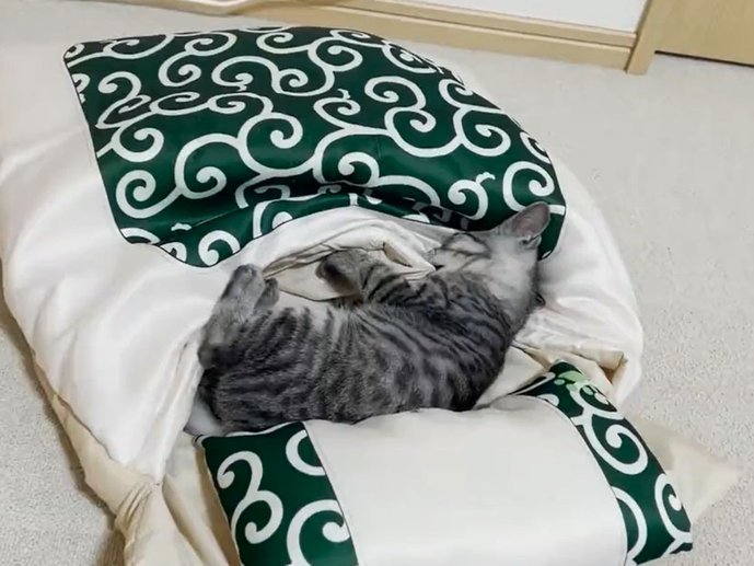 天猫用花呗付款怎么还款