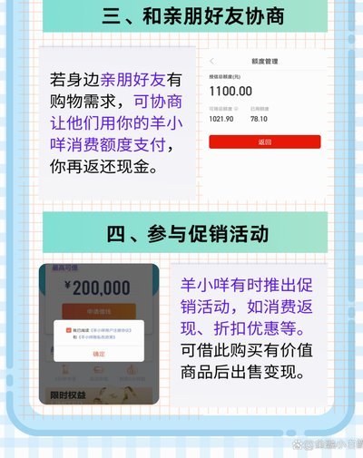 羊小咩的额度究竟指什么？