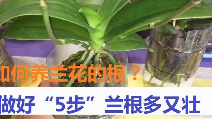 怎么把携程拿去花取消