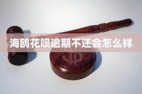 海鸥花呗平台：免息背后的隐藏风险