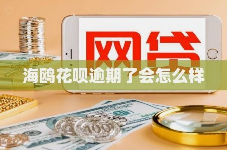 海鸥花呗平台 怎么样