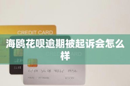 海鸥花呗平台 怎么样