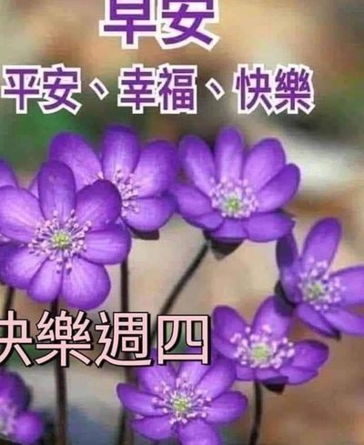 小额快速自套操作指南