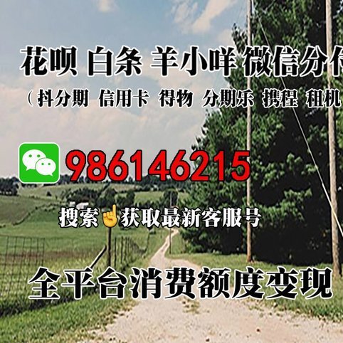 羊小咩购物额度灵活提取探析