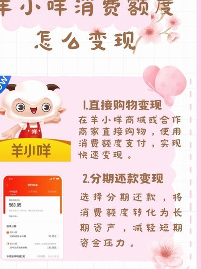 订单取消账单未清，羊小咩事件揭秘