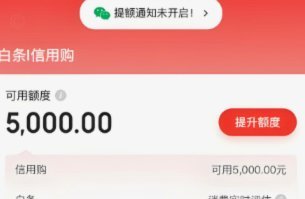 白条怎么套出来现金 贴吧的钱