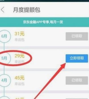 白条额度能直接提现吗？揭秘套现风险与正确使用方法