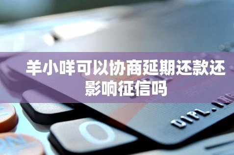 羊小咩怎么样协商延期还款