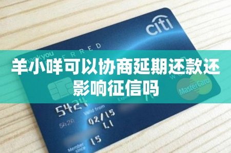 羊小咩怎么样协商延期还款