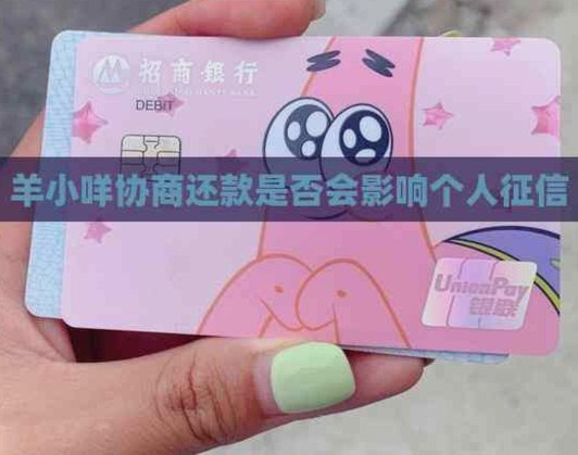 羊小咩怎么样协商延期还款