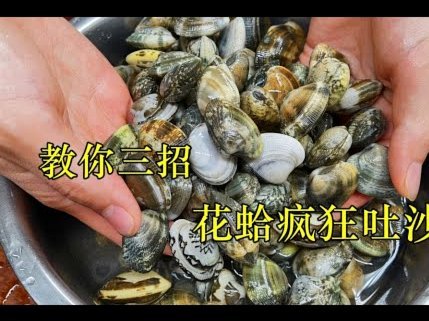 花呗能“套”得稳吗？风险自查指南