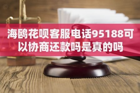 海鸥花呗客服电话查询指南