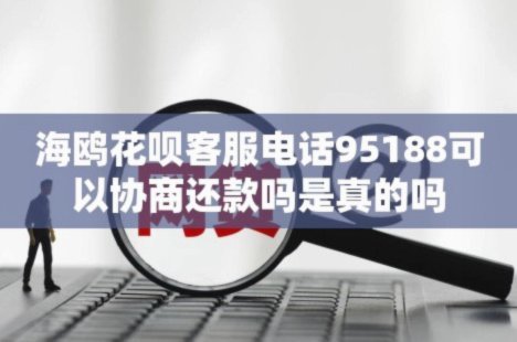 海鸥花呗平台客服电话号码