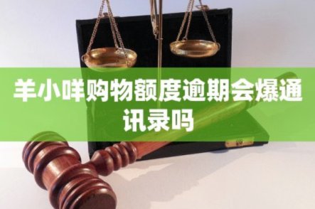 羊小咩购物额度怎么提升