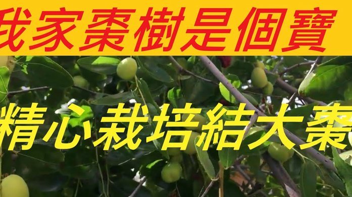 花呗出现问题怎么办