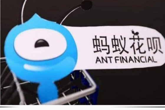 花呗使用会影响他人信用吗？