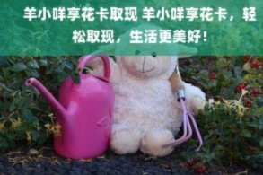 羊小咩额度取现详解