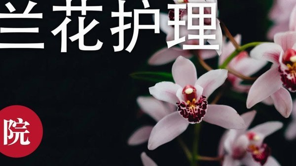 花呗现在情况 怎么不能用了