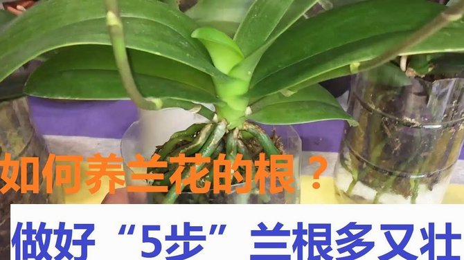 花呗现在情况 怎么不能用了
